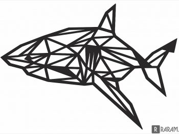 Геометрическая акула