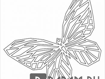 Бабочка с распростертыми крыльями 2
