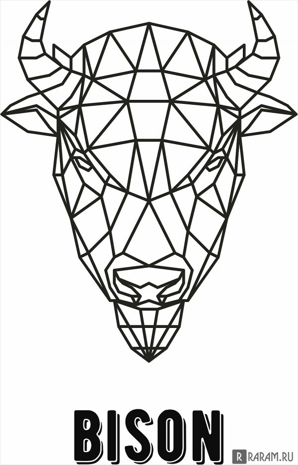 Геометрический бизон