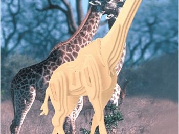 Трехмерный жираф
